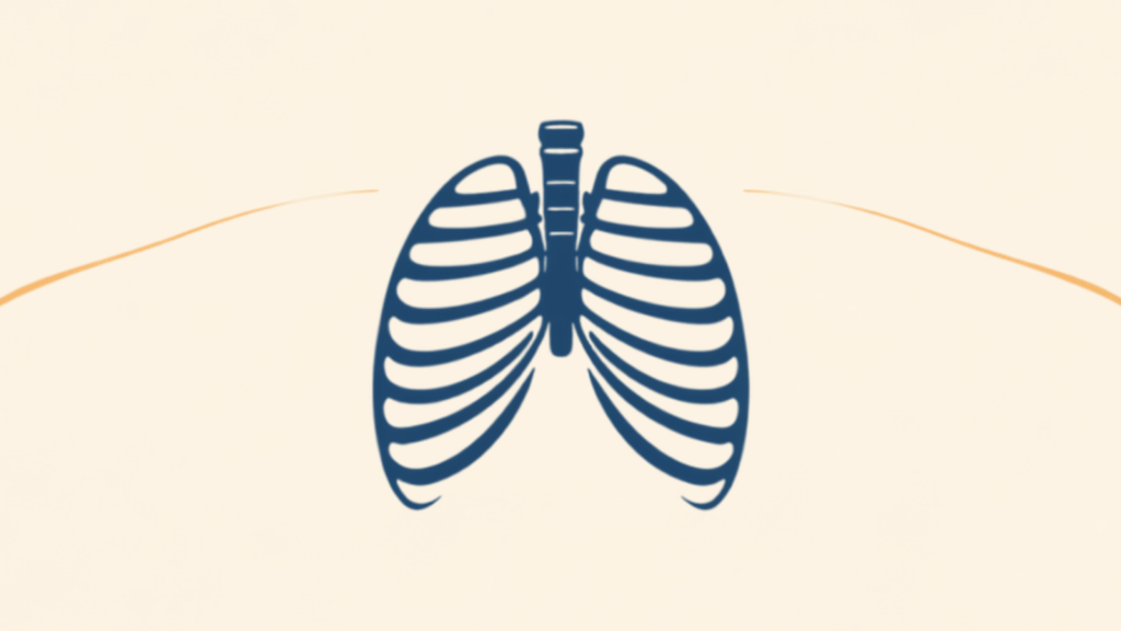 Ilustración de caja torácica: respiración costal 3D y estabilidad lumbar — Bnfit