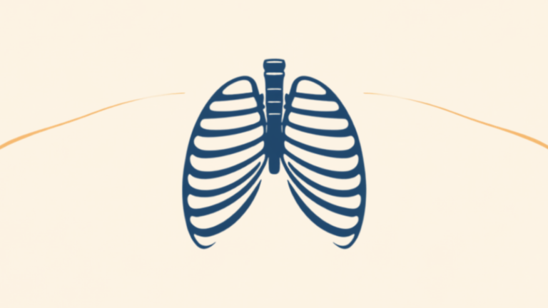 Ilustración de caja torácica: respiración costal 3D y estabilidad lumbar — Bnfit